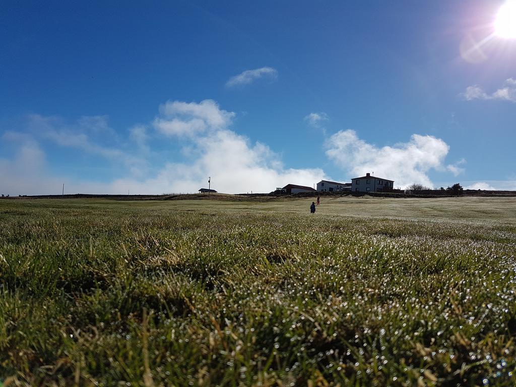 Grásteinn Guesthouse Þórshöfn Esterno foto