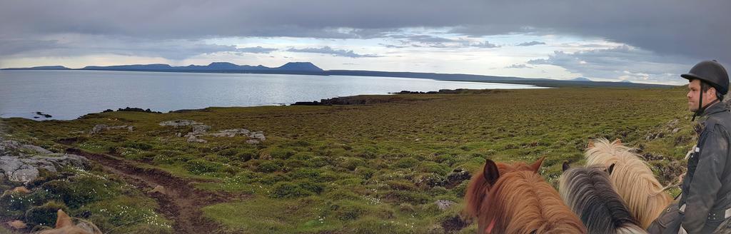 Grásteinn Guesthouse Þórshöfn Esterno foto
