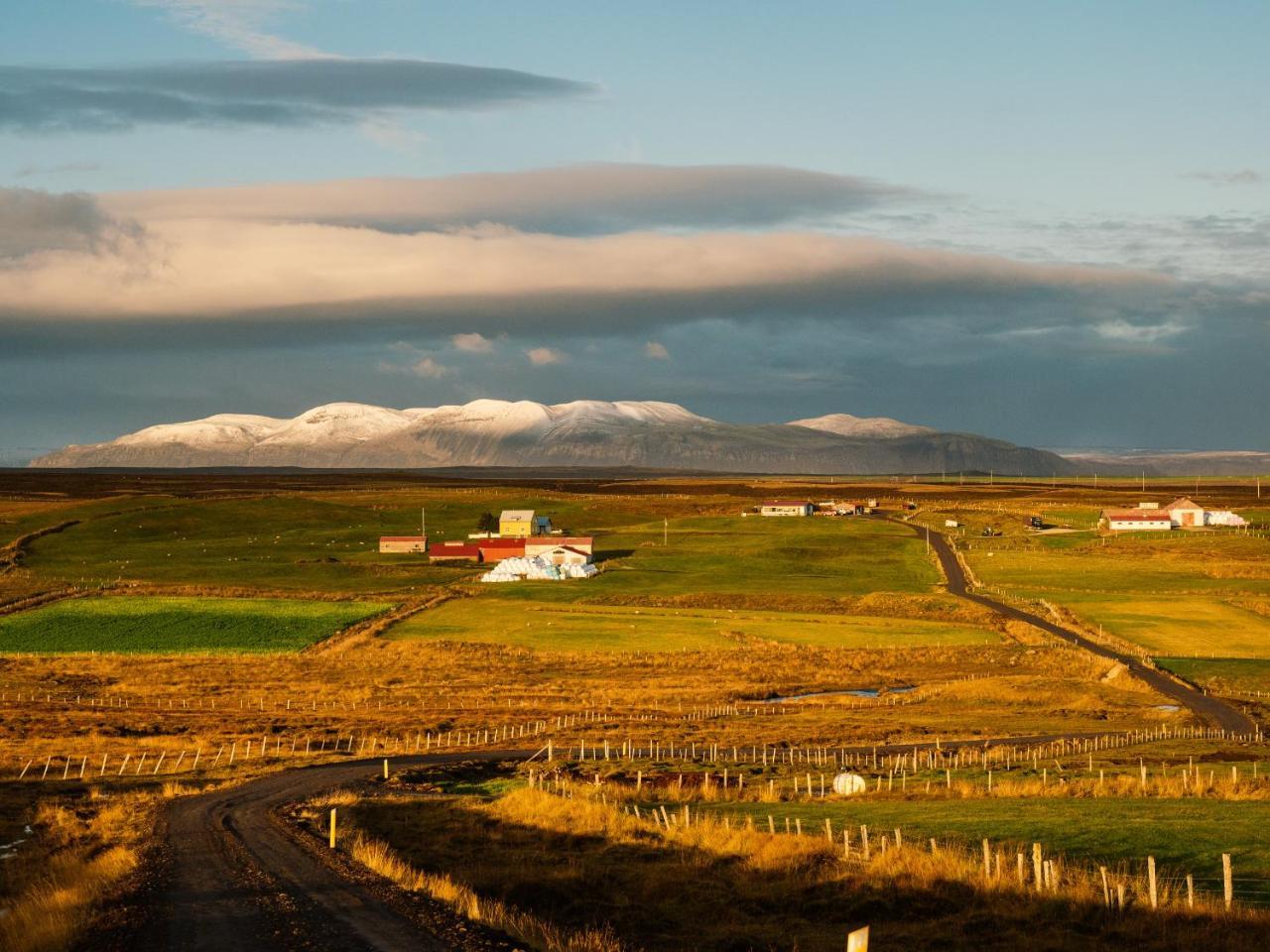 Grásteinn Guesthouse Þórshöfn Esterno foto