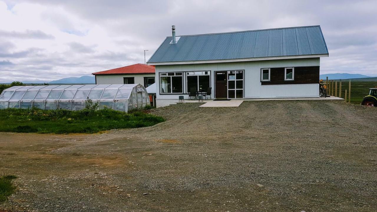 Grásteinn Guesthouse Þórshöfn Esterno foto
