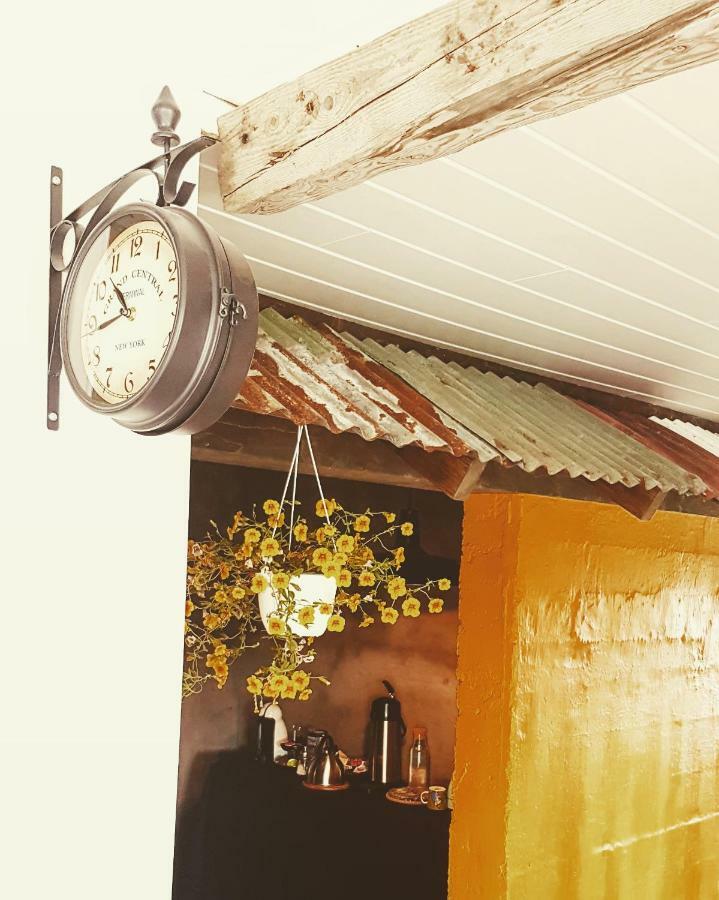 Grásteinn Guesthouse Þórshöfn Esterno foto